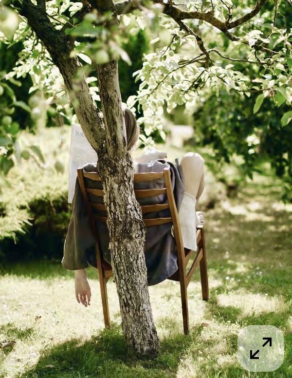 Frau sitzt mit Buch auf einem Holzstuhl im Schatten eines Apfelbaums im Garten