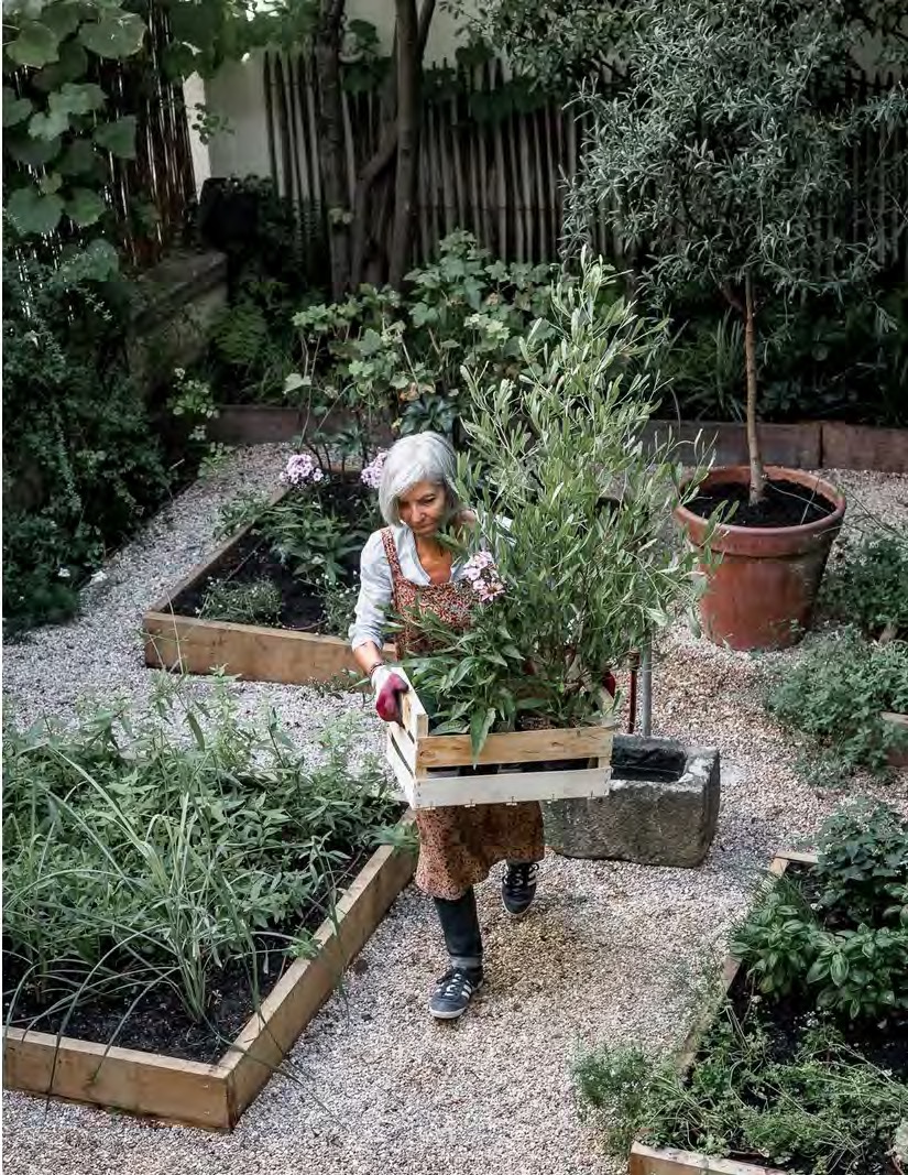 Ältere Dame in Schürze trägt eine Holzkiste mit Pflanzen durch ihren Kräutergarten mit Hochbeeten