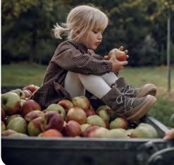 Kind sitzt auf einer Karre voller Äpfel und beißt in einen Apfel